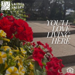 You'll Love Living Here you'll love living here