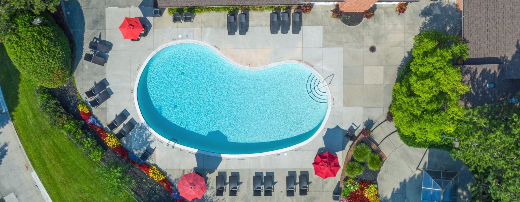 overhead shot of pool area